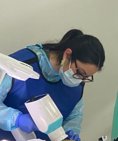 Curso de Odontología felina 28/3/26